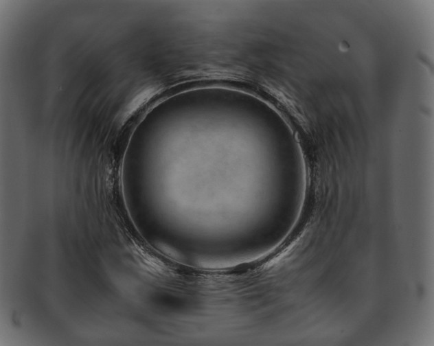X0000093231163200709261646