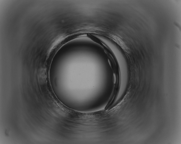 X0000093231164200709261646