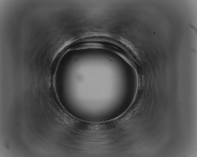 X0000093231165200709261646