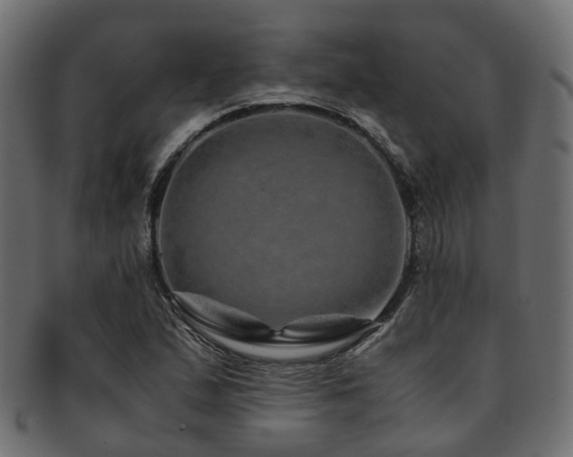 X0000093231167200709261646