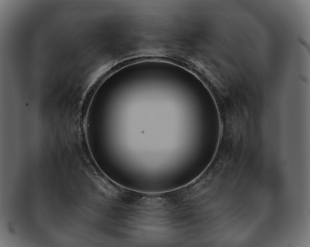 X0000093231168200709261646