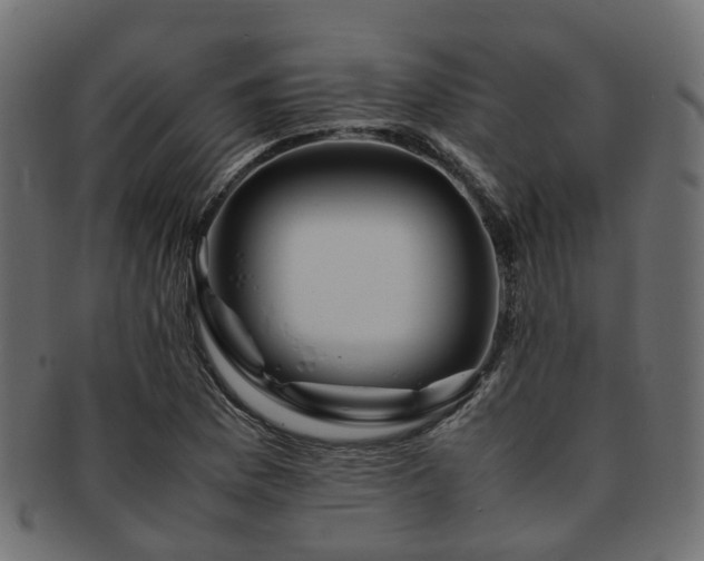 X0000093231169200709261646