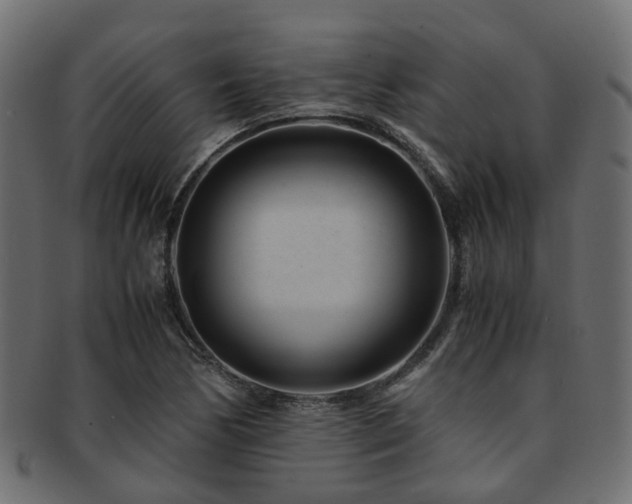 X0000093231170200709261646