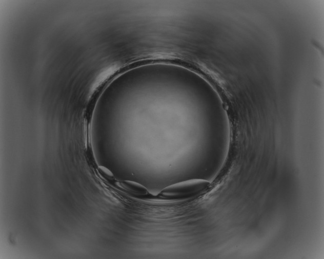 X0000093231171200709261646