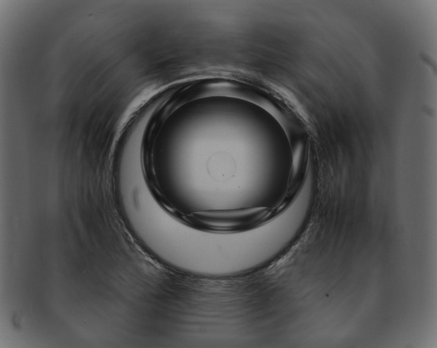 X0000093231172200709261646