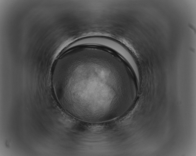 X0000093231173200709261646