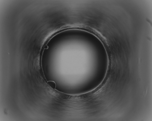 X0000093231174200709261646