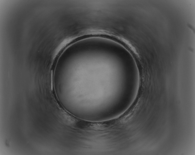 X0000093231175200709261646