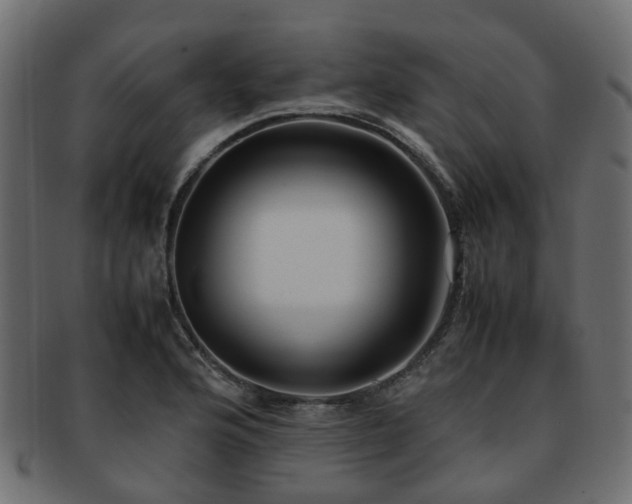 X0000093231176200709261646