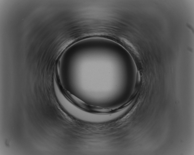 X0000093231177200709261646