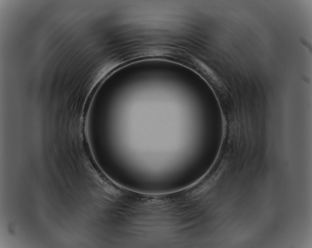 X0000093231178200709261646