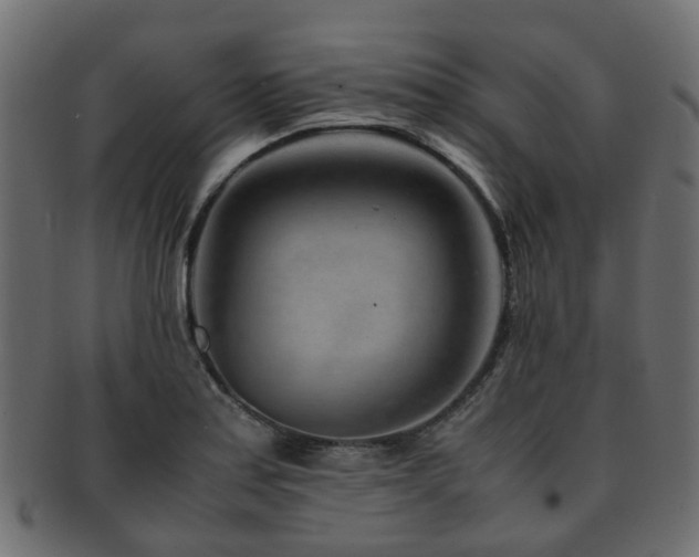 X0000093231179200709261646