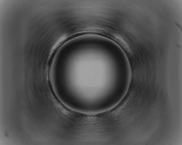 X0000093231180200709261646