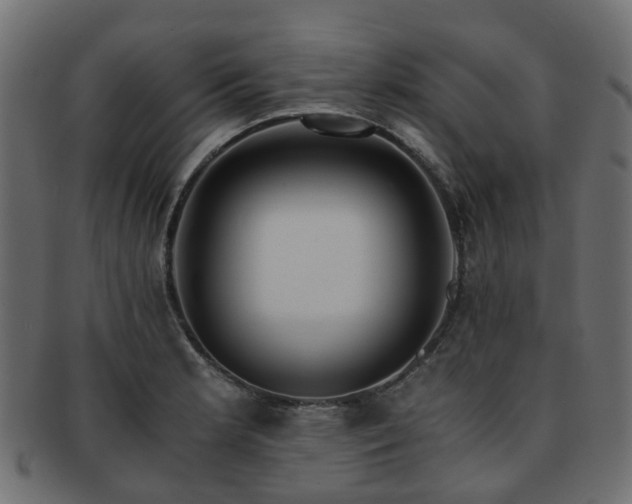 X0000093231181200709261646
