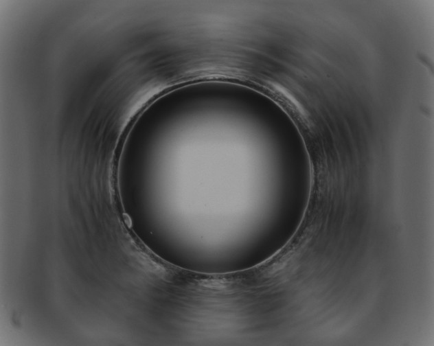 X0000093231182200709261646