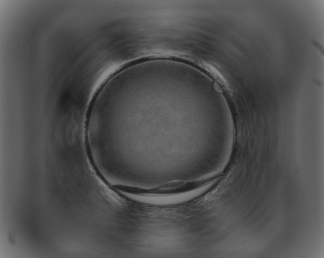 X0000093231183200709261646