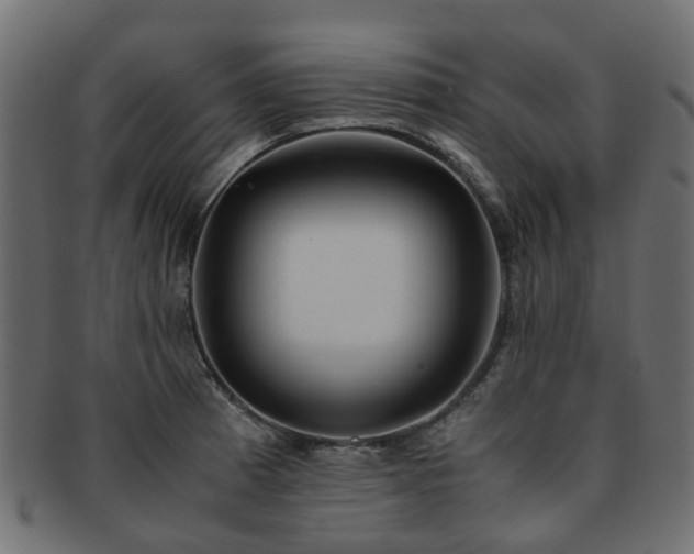 X0000093231185200709261646