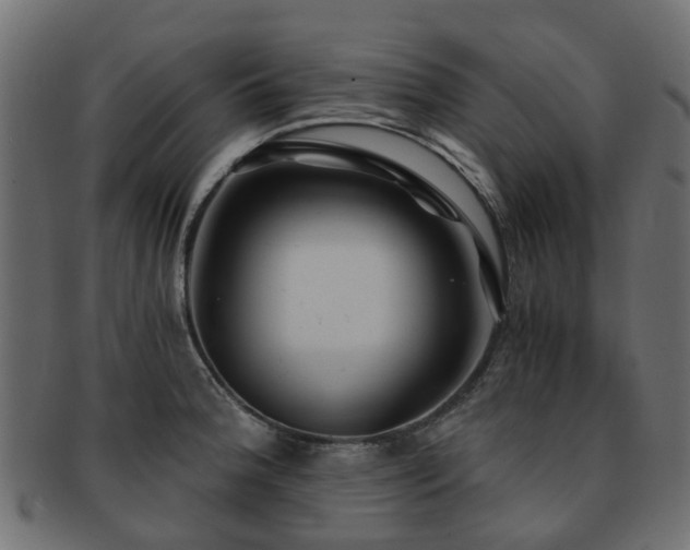 X0000093231188200709261646