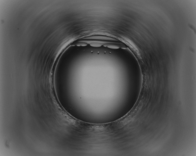X0000093231190200709261646