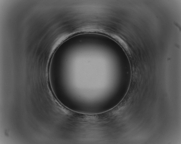 X0000093231191200709261646