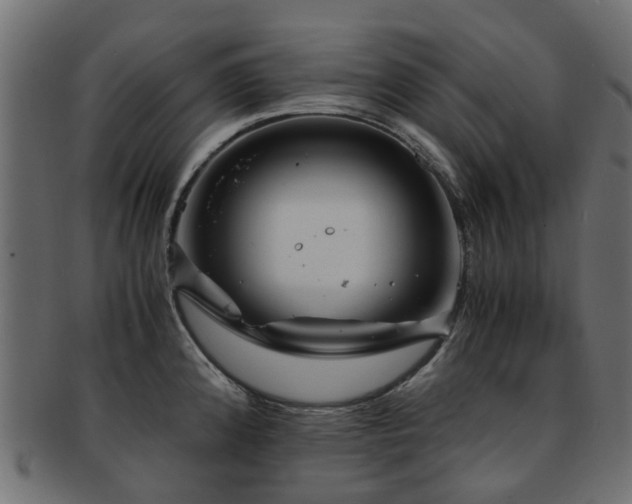 X0000093231192200709261645