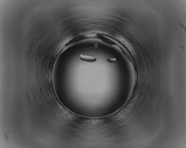 X0000093231193200709261645