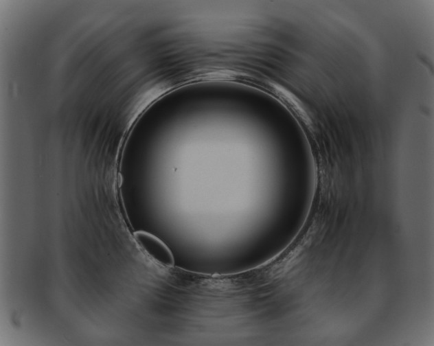 X0000093231194200709261645