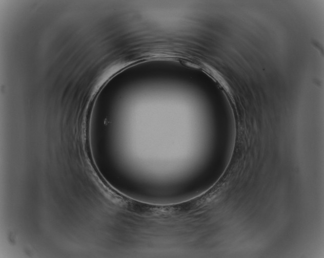 X0000093231195200709261645