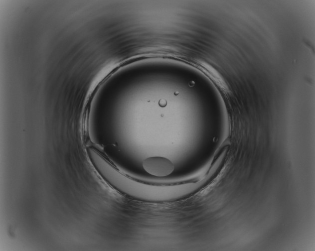 X0000093231196200709261645
