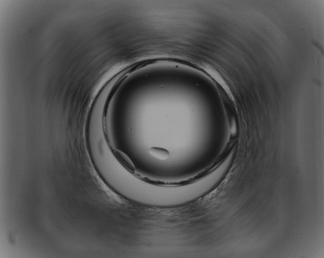 X0000093231197200709261645