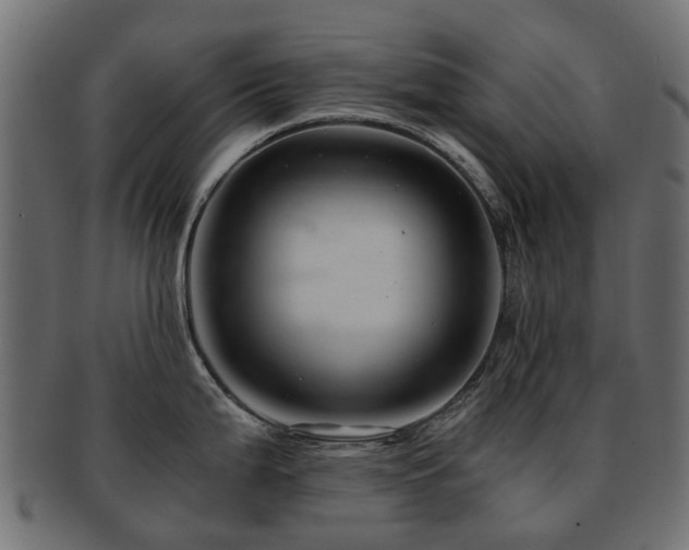X0000093231199200709261645