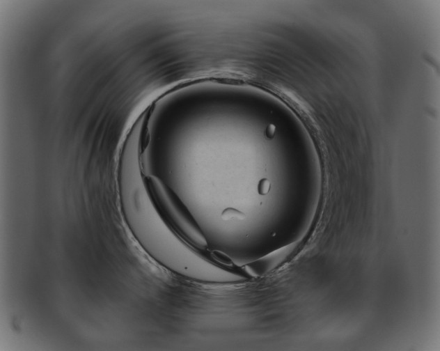 X0000093231200200709261645