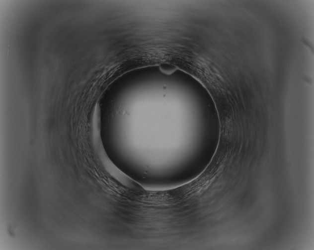 X0000093231201200709261645