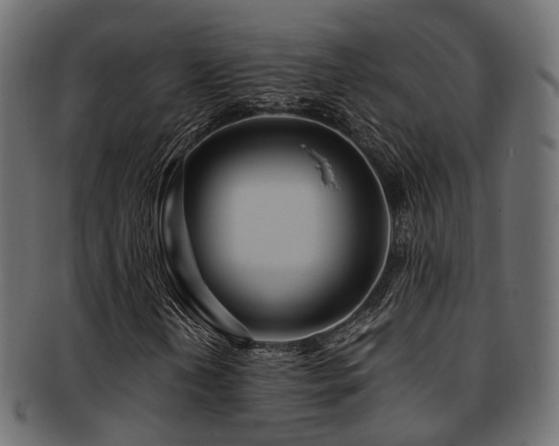 X0000093231202200709261645