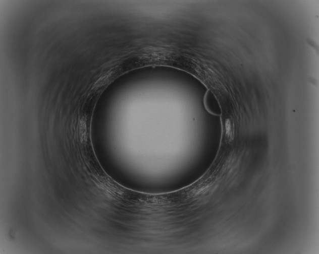 X0000093231203200709261645