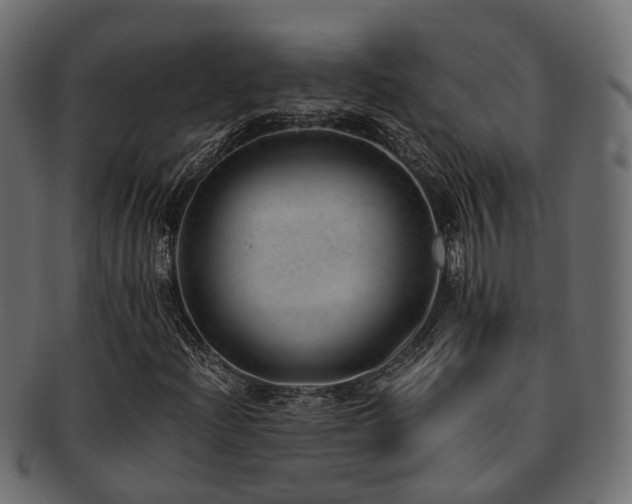 X0000093231204200709261645