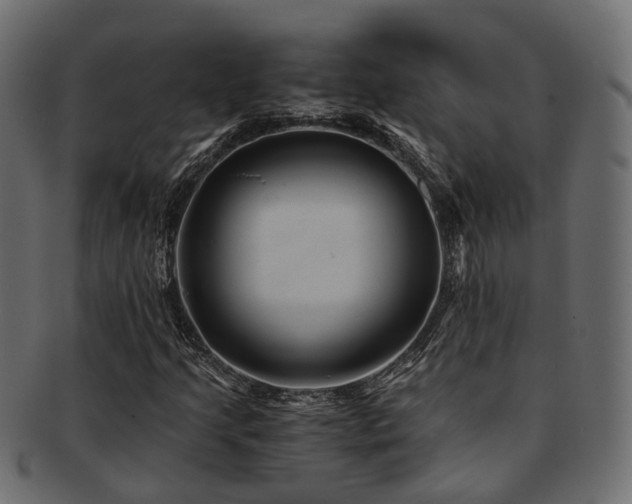 X0000093231205200709261645