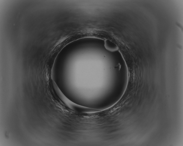 X0000093231206200709261645