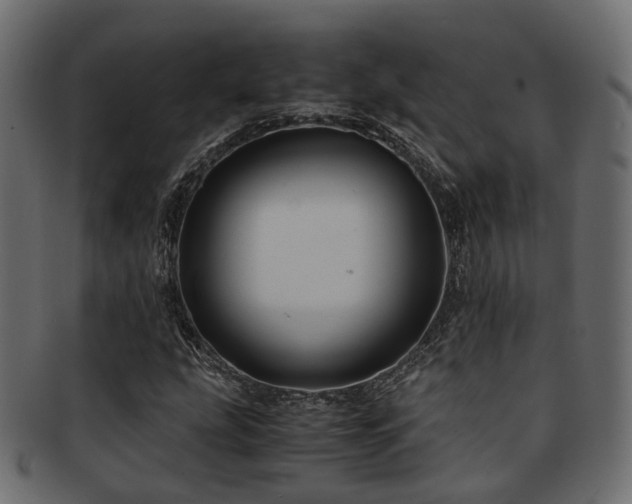 X0000093231207200709261645