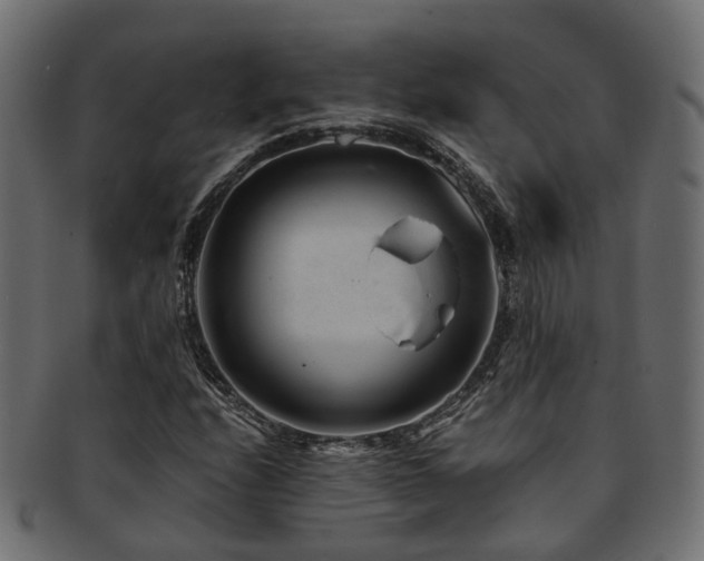 X0000093231208200709261645