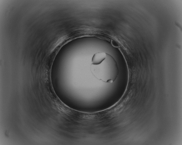X0000093231211200709261645