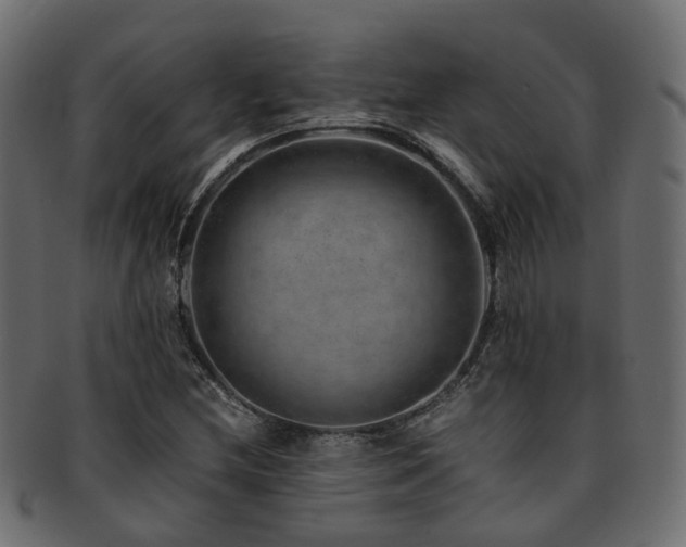 X0000093231212200709261645