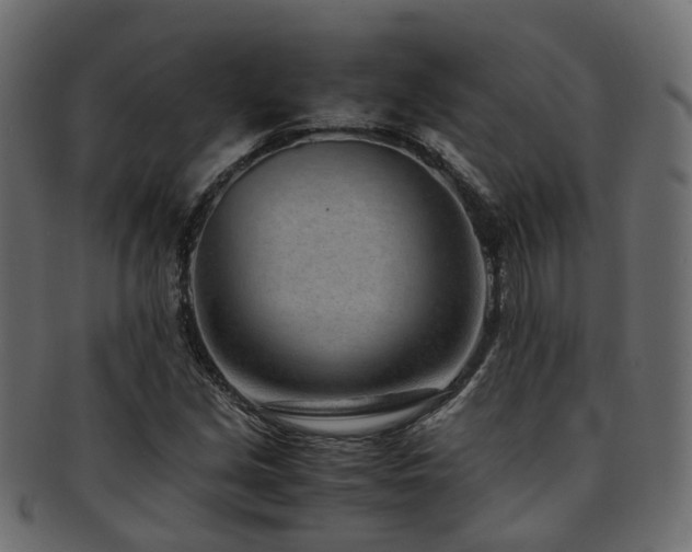 X0000093231213200709261645