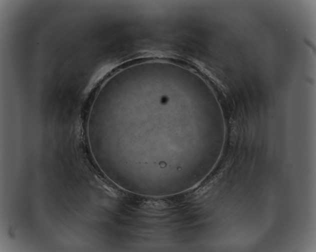 X0000093231215200709261645