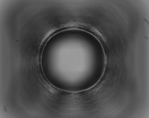 X0000093231216200709261645