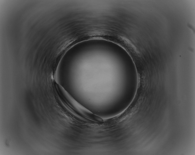 X0000093231217200709261645