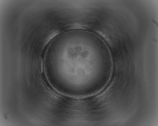 X0000093231219200709261645