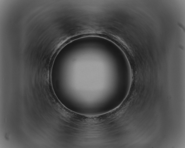 X0000093231220200709261645