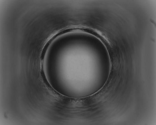 X0000093231221200709261645