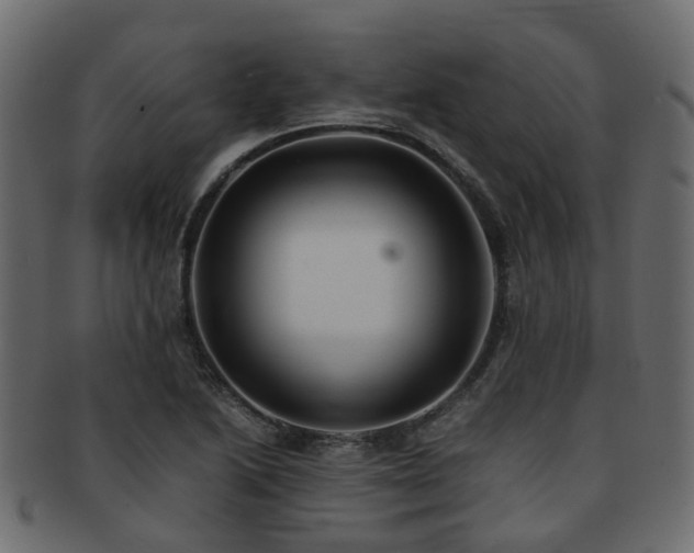 X0000093231222200709261645